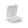 Biodegradable Plastic Container with Hinged Lid 6x6x2.8in