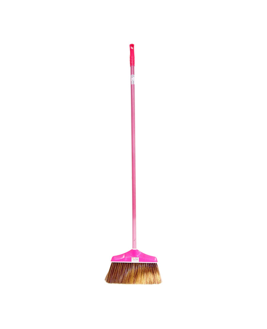 Coloured Broom Long Hande