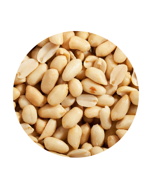 Raw Peanuts Blanched