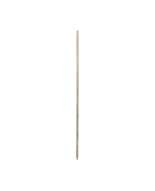 Stainless Steel BBQ Pork Skewer (Extra Thick)