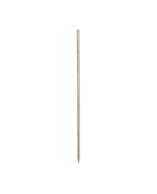 Stainless Steel BBQ Pork Skewer (Thick)