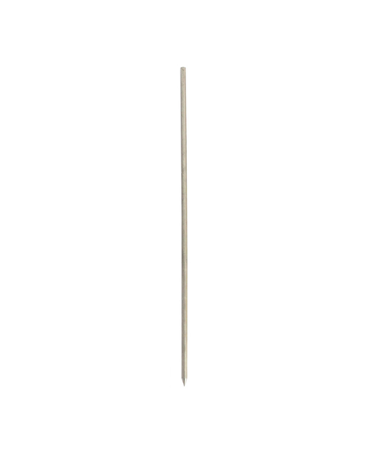 Stainless Steel BBQ Pork Skewer (Thick)