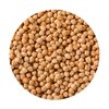 Chickpeas Best Quality USA