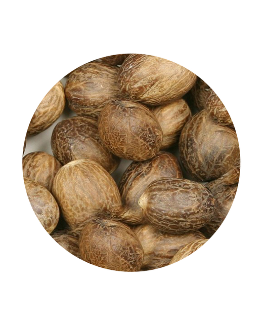 Whole Nutmeg