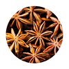 Star Aniseed