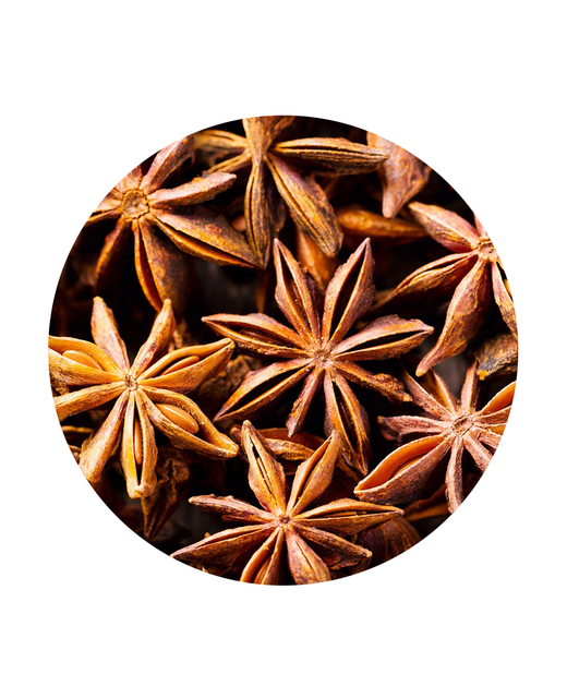 Star Aniseed